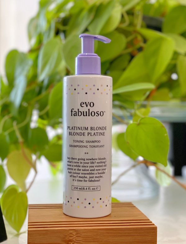 Evo Platinum Shampoo